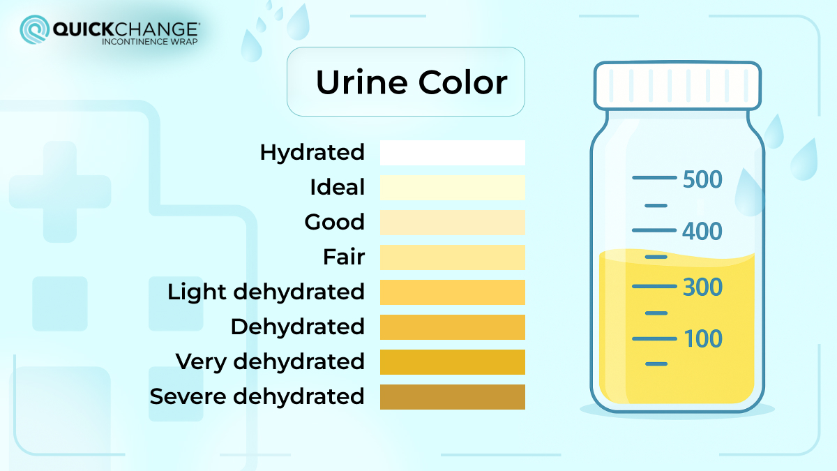 Main chart showing urine color variations from hydrated to severely dehydrated, with labeled hydration levels and sample container